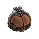 Dead Bug’s Purse